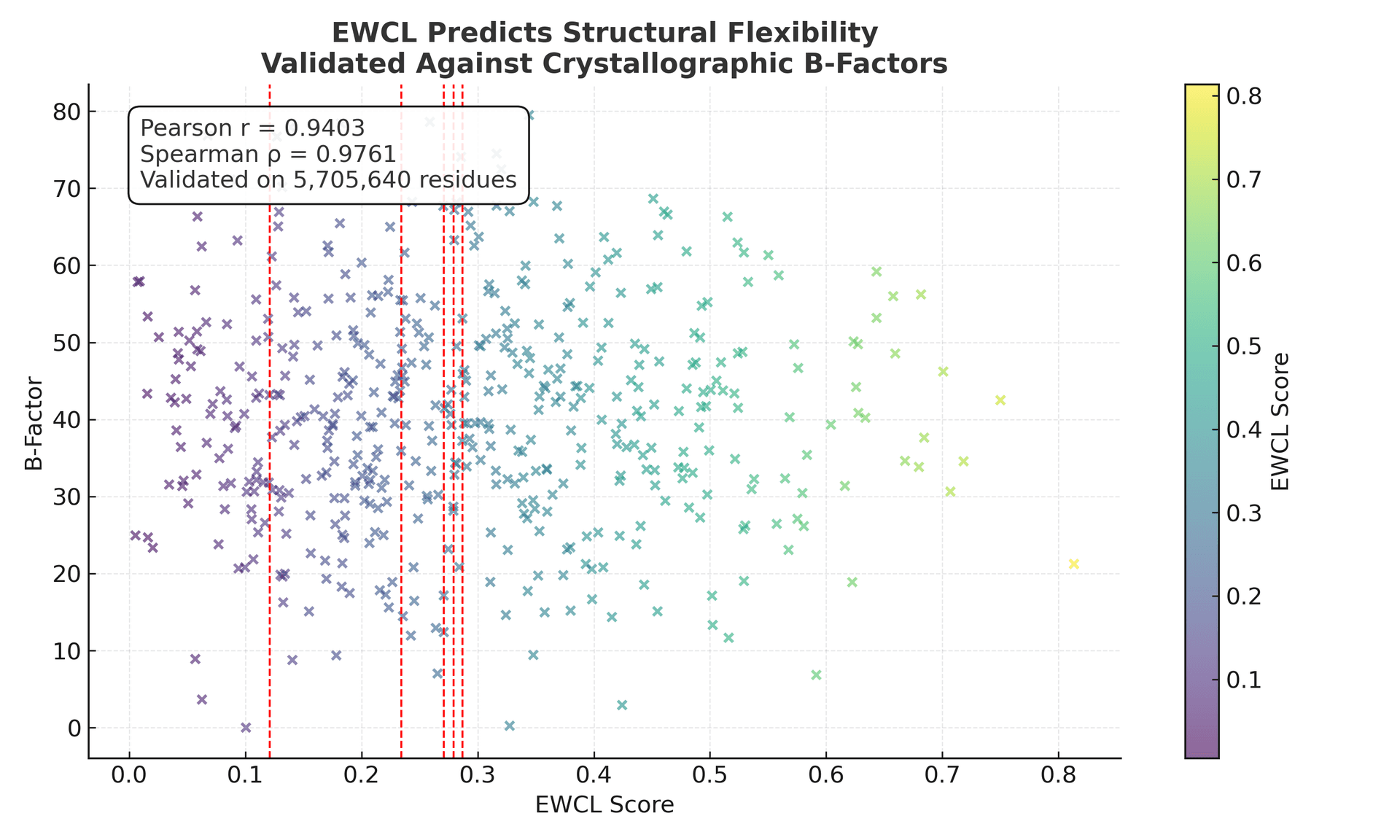 EWCL B-Factor Collapse Overview